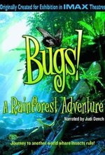 Watch Bugs! online free. Bugs! poster